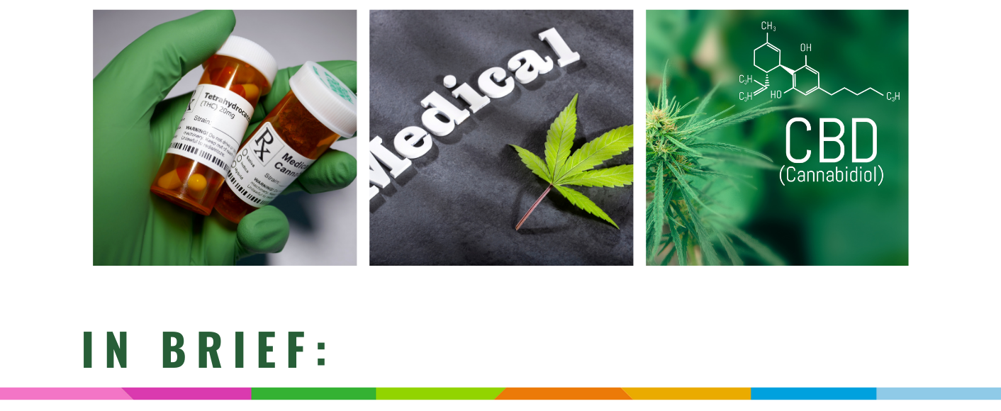 Medical Cannabis Position Statement Overview Header